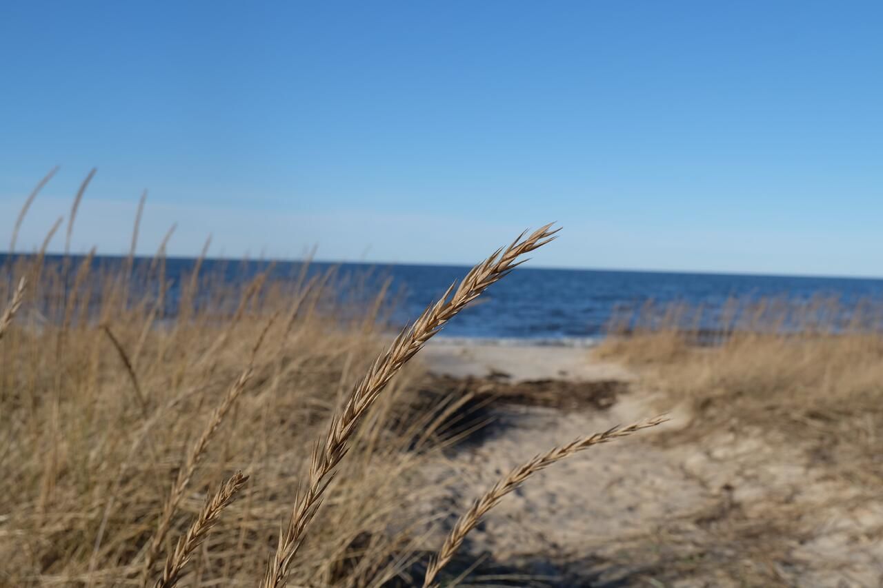 Дома для отпуска Tahkuna Puhkekeskus Hiiumaa-21